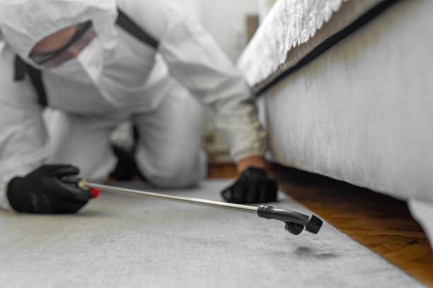 Professional Bed Bug Control technician working in Cahokia, IL