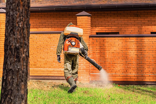 Trusted Cockroach Control service in Cahokia, IL - Nex Pest Control